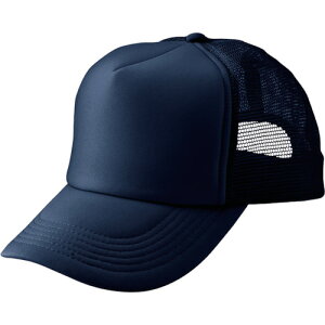 AJbVLbv lCr[ AZ66315MC31008 ACgX ƕ ƖX