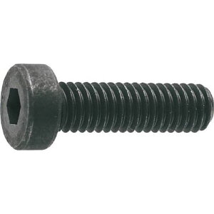 ᓪZpt{g ߔlW B0810425 M4x25 12{ TRUSCO