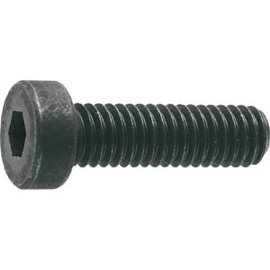 ᓪZpt{g ߑSlW B0810516 M5x16 18{ TRUSCO