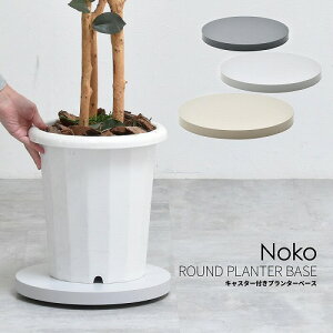 Noko Ehv^[x[X NKLZ0262MOLGY CgO[ B.Bt@jVO CeA O[ CeAO[ A  K[f A u Ɠd yXړ