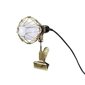 LEDNbvCg810lm ILW-8GC4 ACXI[} Ɩ Ɠ AEghA h ȃGl [NCg