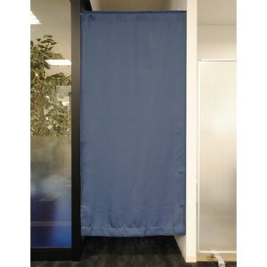 Ռ Ԏd؂J[e 1 lCr[ 95×200cm jx[ ˂ p[e[V