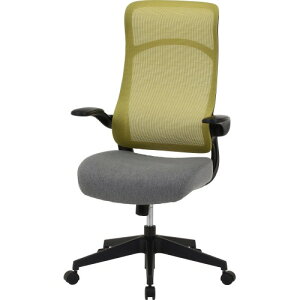 nCobNA[Abv`FA u_ 37907 J[L sf ItBX`FA `FA ֎q CX ItBX Ђ|ˏグ It  bV