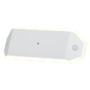 乾電池式LEDセンサーライト ダブルセンサー廊下 BSL-RWMS アイリスオーヤマ ライト 照明 センサー 乾電池