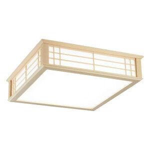 LEDaV[OCg  12p F LE-W50DBK2-K OHM LED y_g a 12