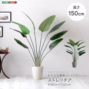 ȒPtFCNO[ Xg`A SH-06-STR-M--GY O[ MTCY z[eCXg tFCNO[ lH ϗtA t Xg`A MTCY 150cm  A ȒP k