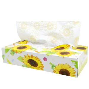 yP[X̔z2025 Ђ܂eBV 120 _u(120g) 20120148 Ђ܂ƉẲԁX 60 itoman z ċx ] p[eB Cxg yY ~