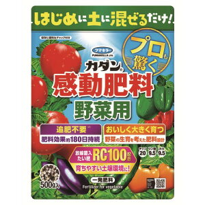 J_엿ؗp TJ^̃^l DCM 엿 ؗp