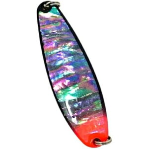 }XPO 20g VF NBS-1/sN Northern Lights A[ Xv[