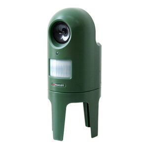 g L SH-17-ML13--TU z[eCXg g LmZT[ gXs[J[ L L͈  O dr VvfUC