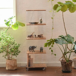 ANbN ONRC0339PLNAT 5i B.Bt@jVO ANbN [ fBXvCbN ؐI 3i LX^[t