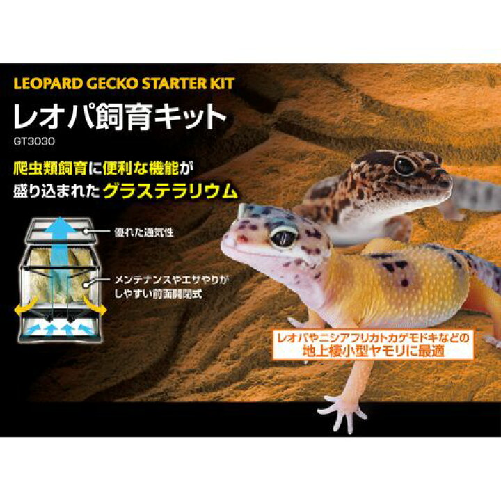 楽天市場】レオパ飼育キット GEX 爬虫類 両生類 爬虫類用ケージ 