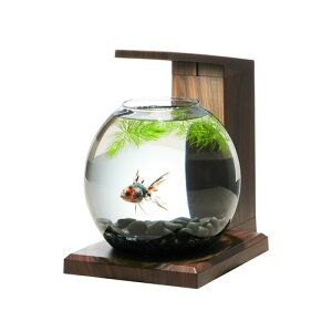 OXANA PERCO B]Dark Wood GEX Ϗ܋ Ϗ܋p