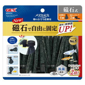 _JC ̂Y Ύ 4 GEX Ϗ܋ Ϗ܋pY Ϗ܋P[Xa Y