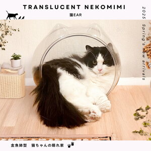 Lear CAT-NEKOEAR Lear 27 㓡ƋY L xbh  Lp ybgp lR ˂ ybgxbh  NA{E {E ybgnEX