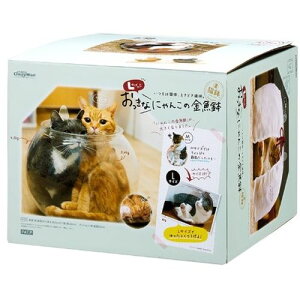 Ȃɂ񂱂̋ L  L Lpi xbh pi