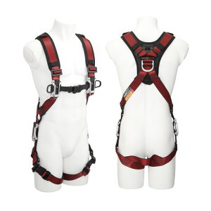 Ztn[lXA t[TCY A4SFAF-RE  ^W} S ė~p  h~ 