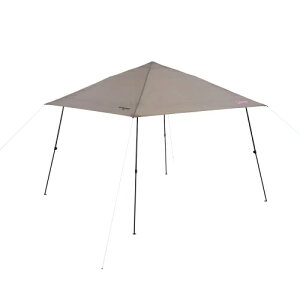 CX^goCU[VF[hIII 2218228 O[W L R[} Lv eg ANV Coleman