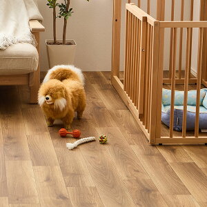 ybgΉ NbVtA I[N 90×250cm HAGIHARA ɂ LYɋ L R RECX t[O}bg ؖ ^C   L