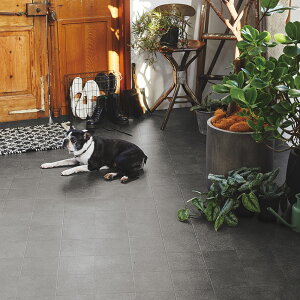 ybgΉ NbVtA NCubN 90×250cm HAGIHARA ɂ LYɋ L R RECX t[O}bg ؖ ^C   L