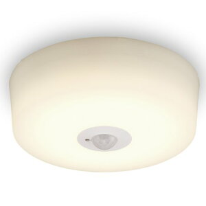 LED^V[OCg lZT[ dF 600lm SCL6L-MS-H dF ACXI[} Ɩ ȃGl dC GR RpNg