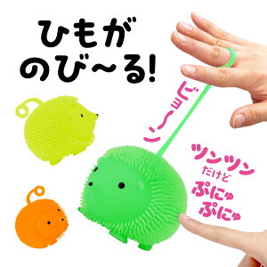 ՂɂՂɂ͂˂݃[[BOXZbg(12) 21887 A[ebN