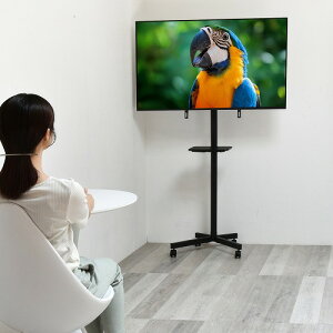 LX^[&IterX^h Huit(Cbg) ONTV0362KIBLK ubN B.Bt@jVO erX^h LX^[t It ړer \ er 23`55^Ή VESAΉ