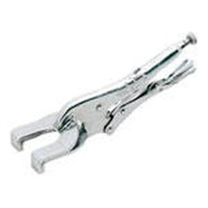 �p�l���N�����v 9AC_2285 KTC