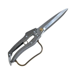 v200 t 4n N-207 270MM jVKL