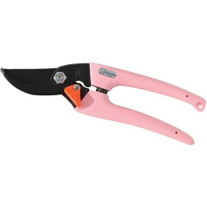 10%OFFN[| 420:00`523:59fB[X sN T{e