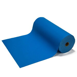 �p���`�J�[�y�b�g CPS-717 �u���[ 30m���� ��182cm �u���[ ��:182cm ����:30m ���^�i�x�H��