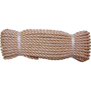 [v PPƗp[v WRP2 Jb`F |vs ^JCN