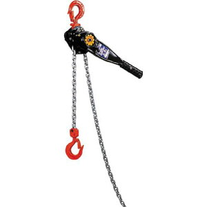 Y2`F[o[zCXg Y200515_3098 i׏d:0.50t ۈ