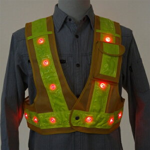 LEDxXgEłEV[g 3012703 CG^CG CG^CG F 𗧁`c