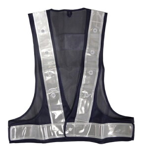 LEDSxXg 5916502 zCg zCg F 𗧁`c