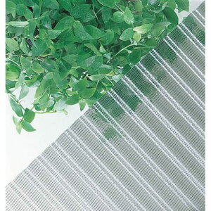 g qVgKXlbg 7 NA TNG7C_6034 qV