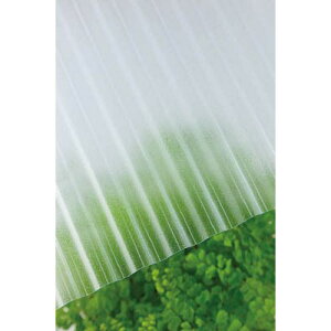 |Jg 32g 7 650NAtXg 217729 NAtXg 655mmX2120mm ^L