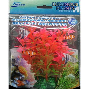 ~iXvc M NAP-194 M|1 ij}Jijb\[j