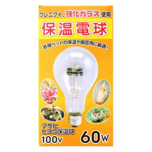 qRۉd 100V60WPS80E26 60W ASAHI