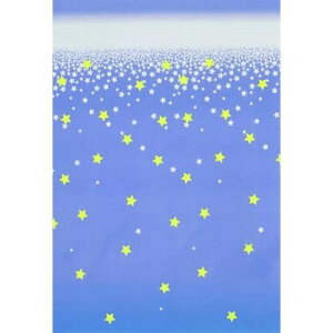 XJCCgoXJ[e SLB-4 XJCCgW u[CC aOrA