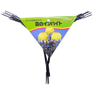 ẽCoCg 9p 5 F 300mm300mm nӑ