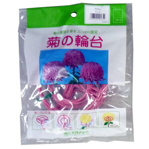 e̗֑ 10 F a10.5cm nӑ