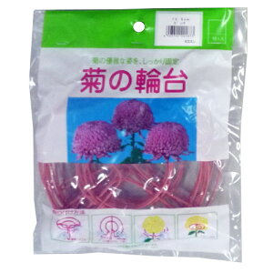 e̗֑ 10 F a13.5cm nӑ