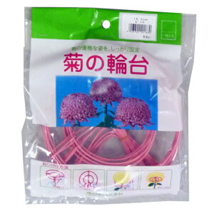 e̗֑ 10 F a15.0cm nӑ