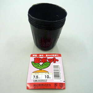 c|bg 10 F a7.5cm nӑ