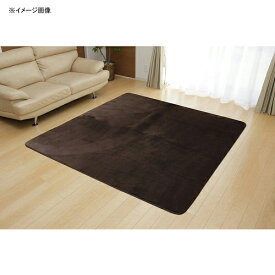 フランアイズ カーペット 絨毯 ラグ 洗えるカーペット ブラウン 約130×185cm ブラウン 約130×185cm IKEHIKO