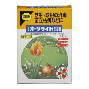 I[\TCha80 50g Eۍ ZFw|