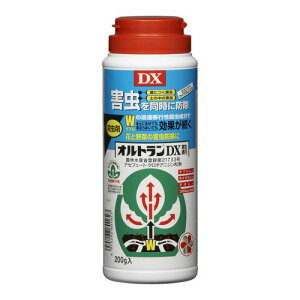 IgDX 200g E ZFw|
