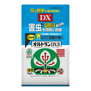 IgDX 1kg E ZFw|