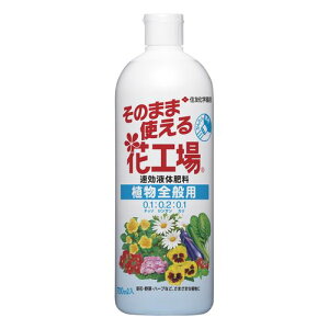 ̂܂܎gԍH ASʗp 700ml 엿 ZFw| t̔엿 ̂܂  K[fjO A